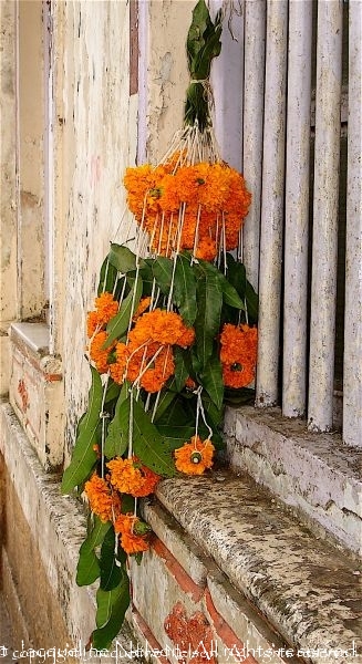 Hindu Flowers