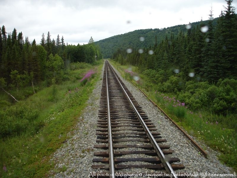 Alaska Train Tracks