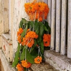 Hindu Flowers