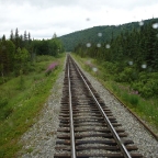 Alaska Train Tracks